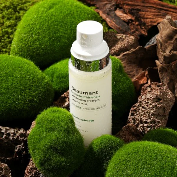 Sam Baek Cho Perfect Whitening Cream Mist 100ml 2