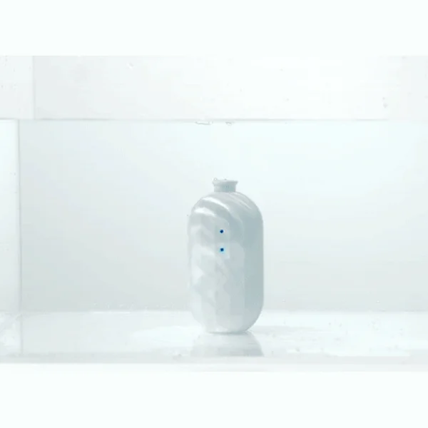 Toilet cleaner (tank type) 250g 2